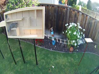 Phim Phòng Thí Nghiệm Crunch (Phần 2) Tập 2