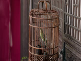 Phim Tiêu Dao Tập 28