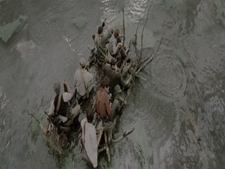 King Kong và Người Đẹp Full