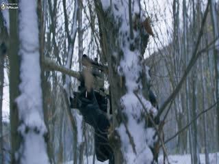 Đội Thực Tập Full