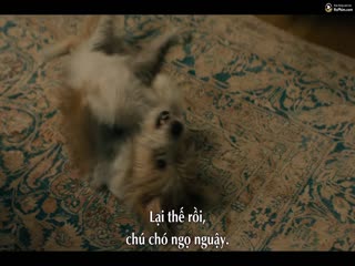 Phim Thuốc Đắng Dã Tật Tập 2