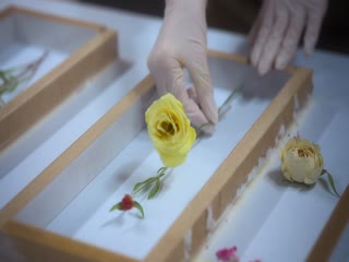 Phim Địa Ngục Độc Thân (Phần 5) Tập 3